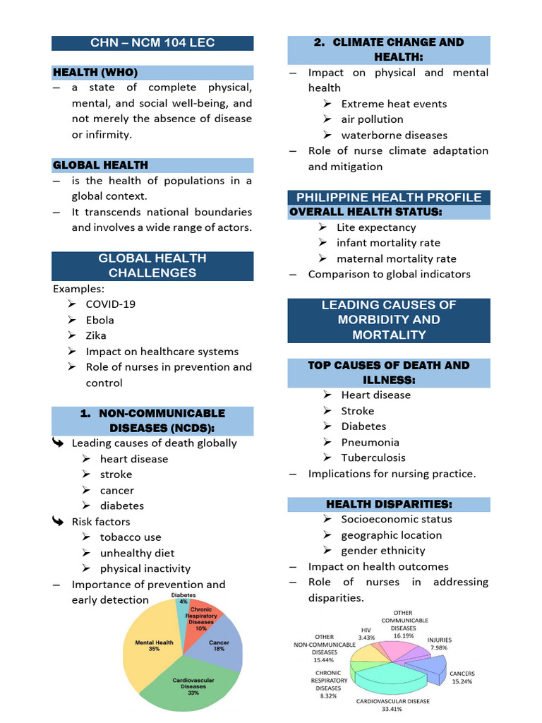Global Health Challenges and Nursing Roles | PDF | Nursing | Public Health