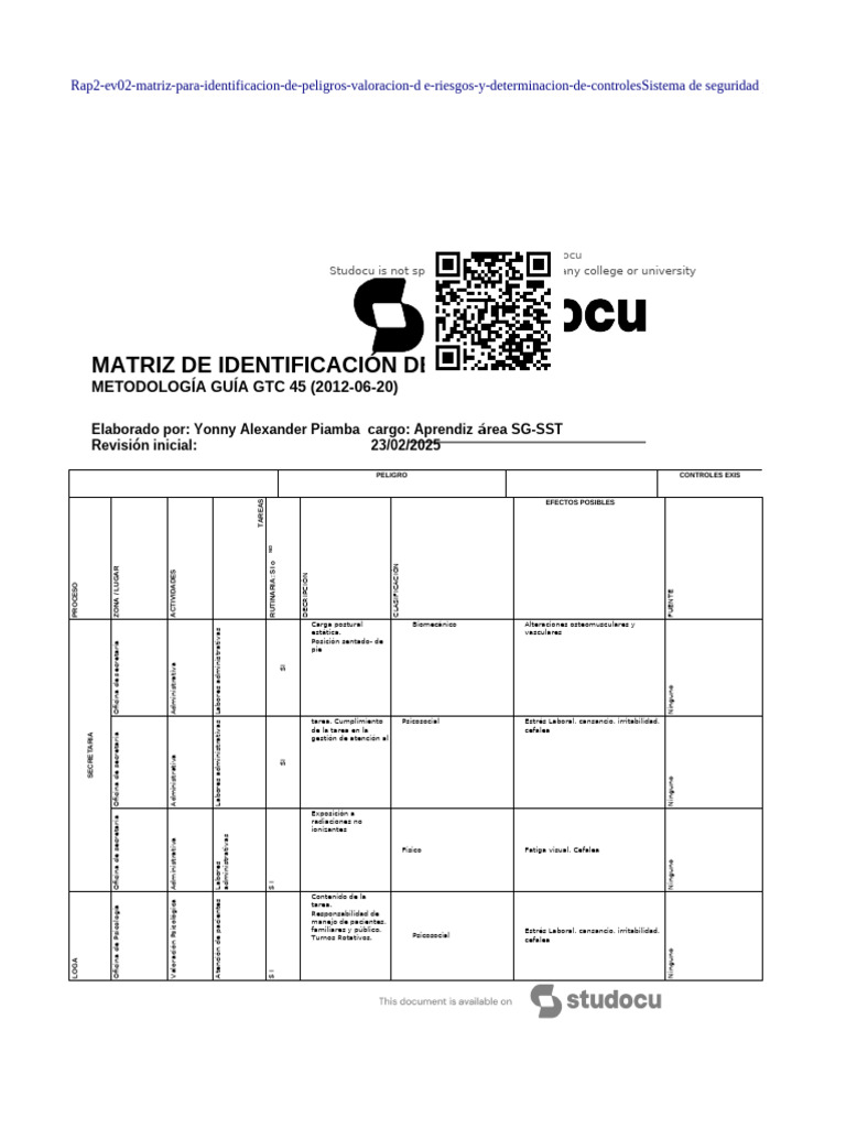 Matriz de Riesgos y Controles SG-SST | PDF | Radiación | Estrés (biología)