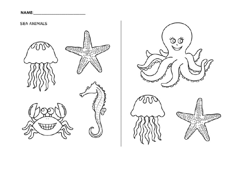 Sea 5 | PDF