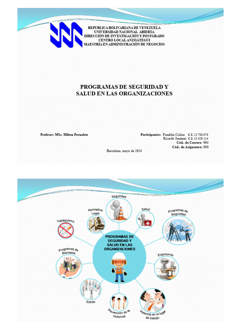 Programa de Seguridad y Salud en Las Organizaciones | PDF | La ...