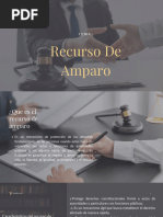 Recurso de Amparo en Honduras: Guía Legal | PDF | Derecho ...