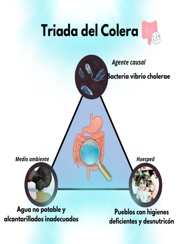 TRIADA | PDF