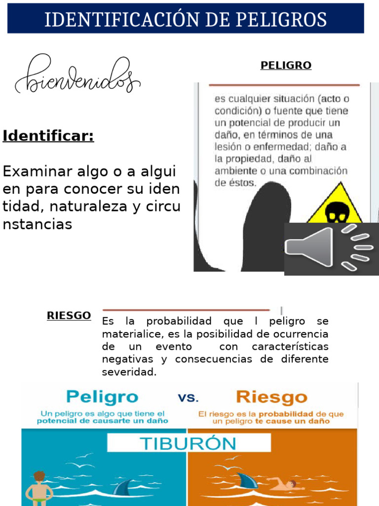 Identificacion de Peligros 2 | PDF