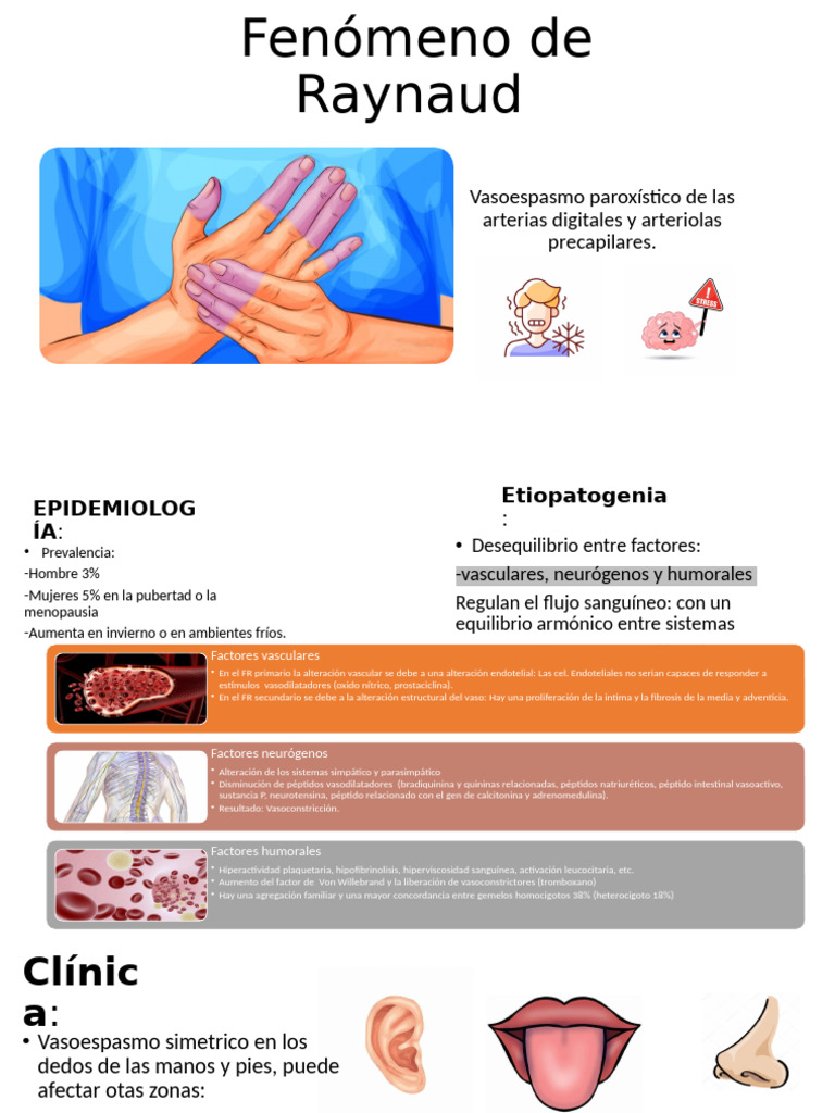 Fenómeno de Raynaud | PDF | Endotelio | Especialidades Medicas