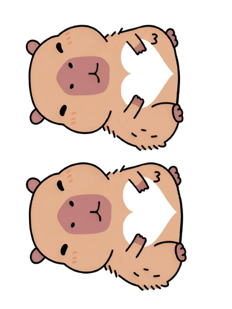 Capibara | PDF