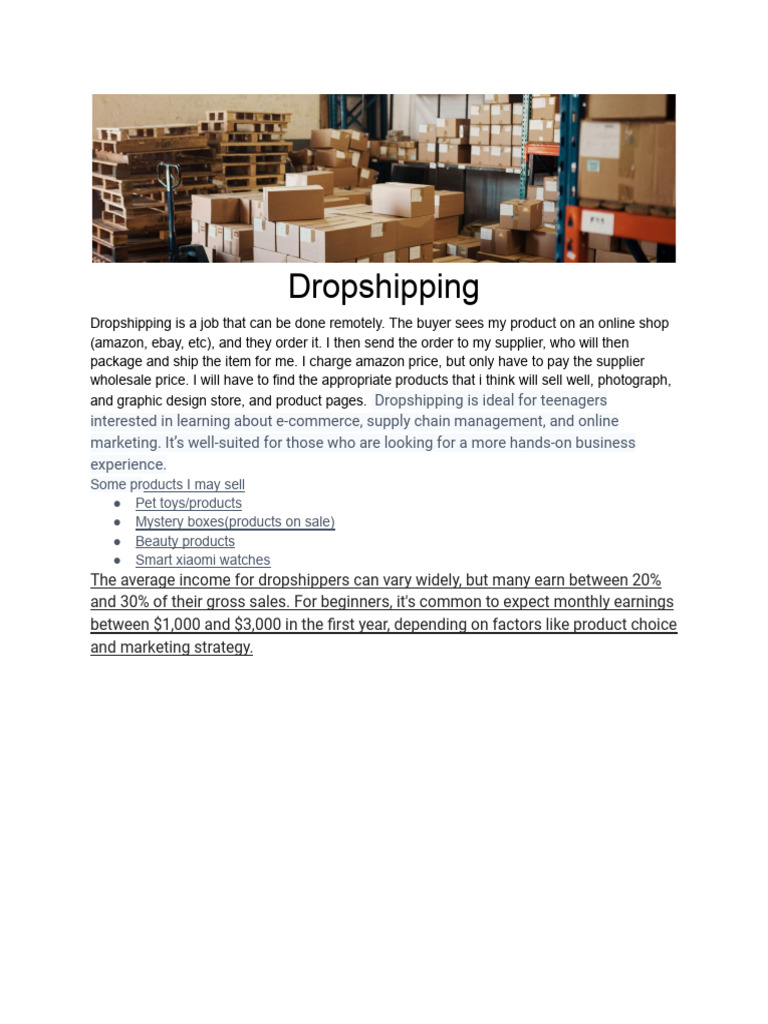 Teen Dropshipping: A Beginner's Guide | PDF