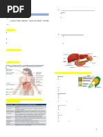 Overview of the Human Digestive System | PDF | Human Digestive System ...