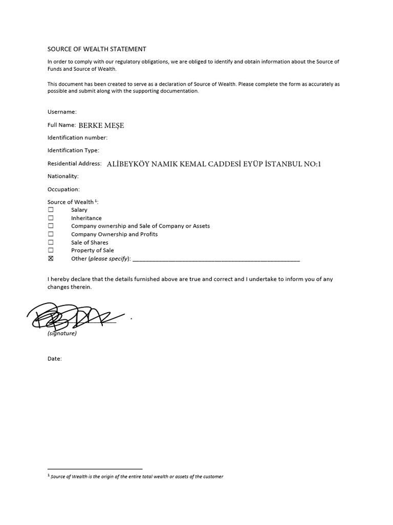 Source of Wealth Declaration Form | PDF