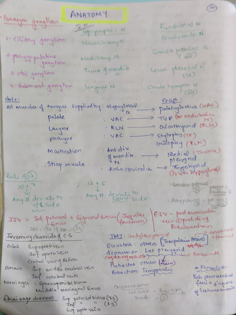 Anatomy Notes for 1st Year Students | PDF