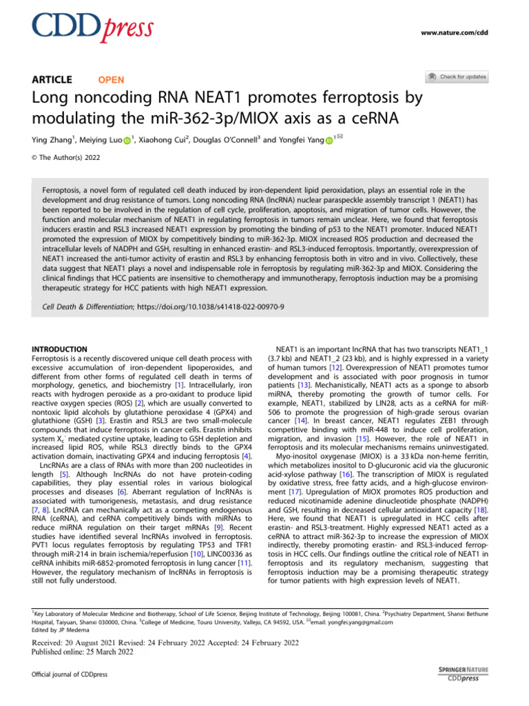 Long Noncoding Rna Neat1 Promotes Ferroptosis by Mod | PDF | Real Time ...