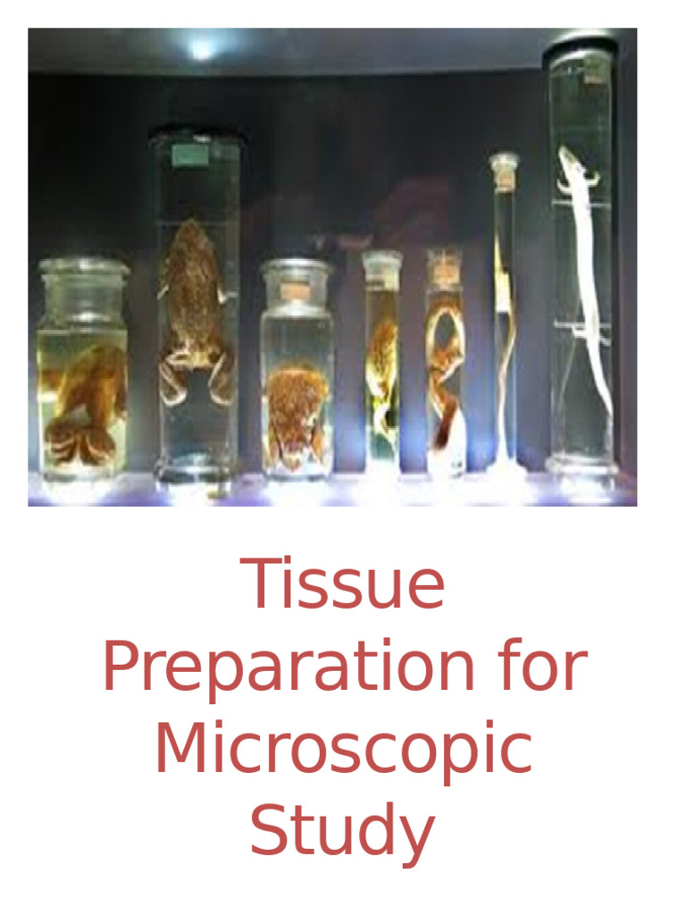 Tissue Preparation for Microscopy | PDF | Fixation (Histology ...