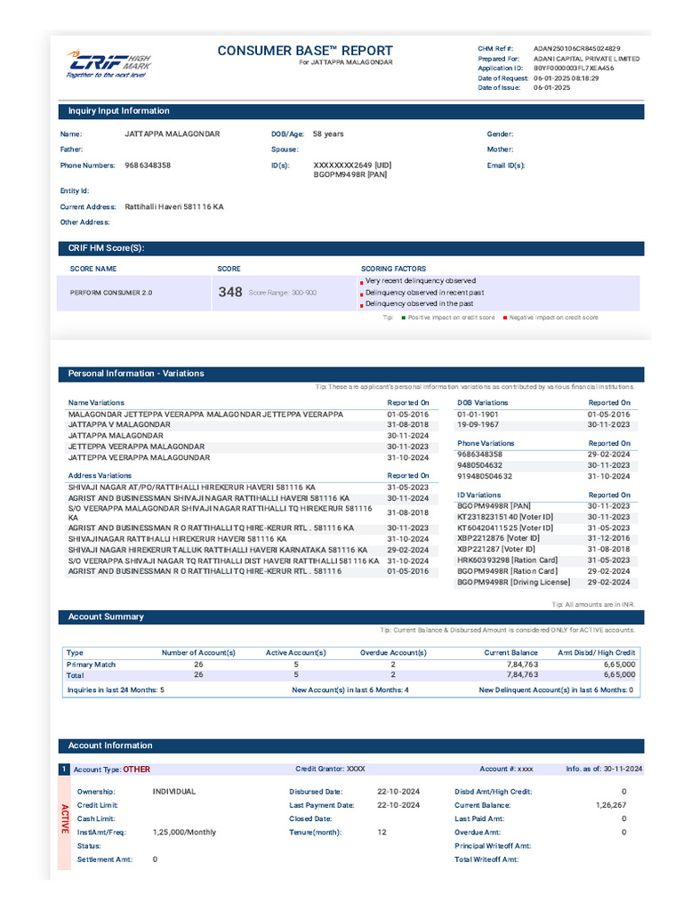 Consumer Base Report (12) | PDF | Finance & Money Management | Credit