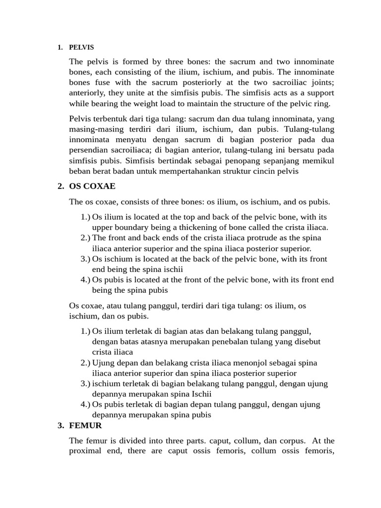 Anatomi Dan Fungsi Tulang Panggul Dan Kaki Pdf