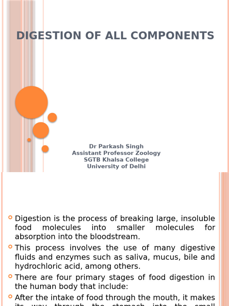 Digestion and Absorption of Nutrients | PDF | Lipid | Carbohydrates