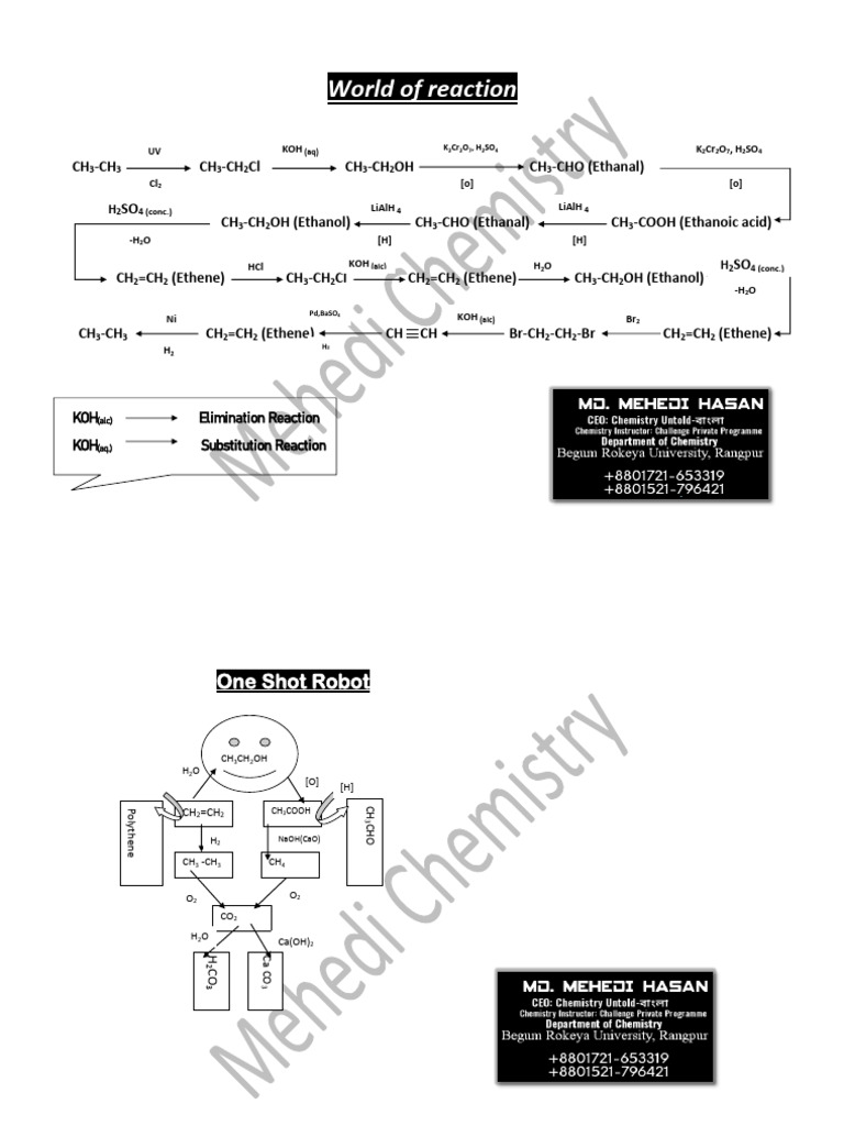 Organic Reaction Pathways Overview | PDF