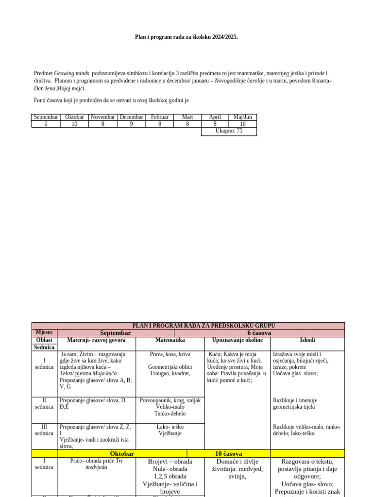 Plan I Program | PDF