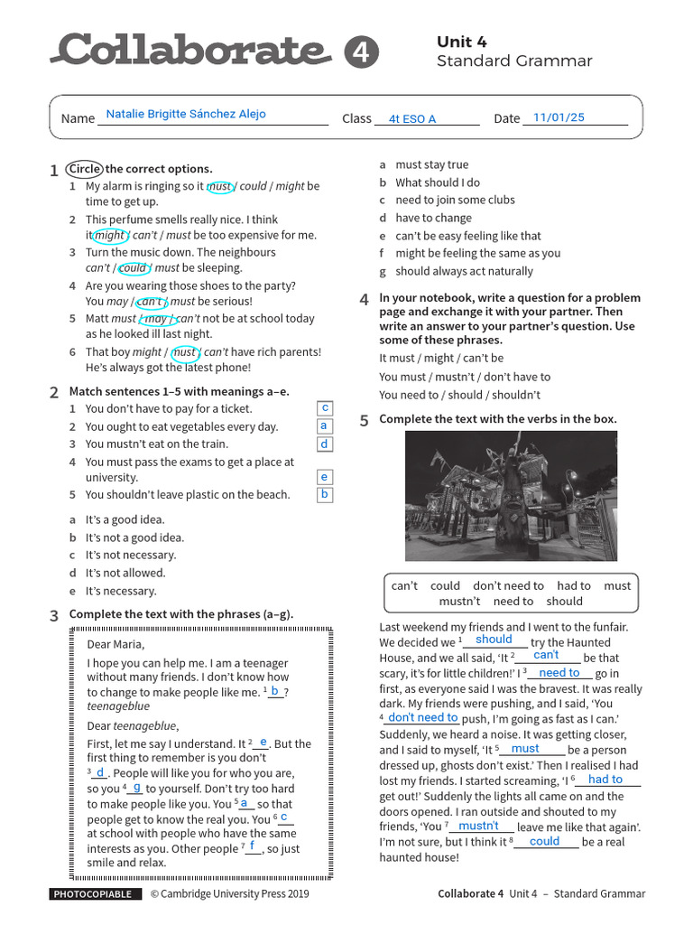 Kami Export - Standard - Grammar - WS Unit 4 | PDF