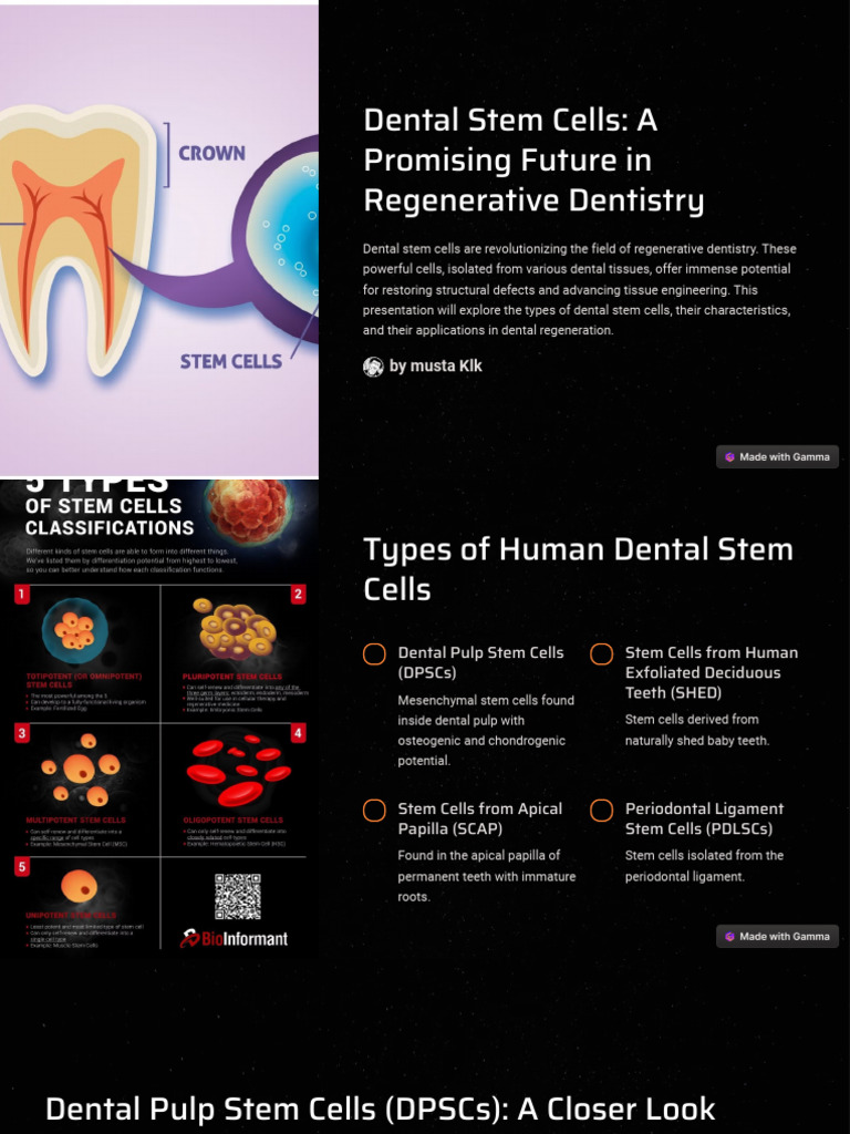 Dental Stem Cells A Promising Future in Regenerative Dentistry | PDF ...