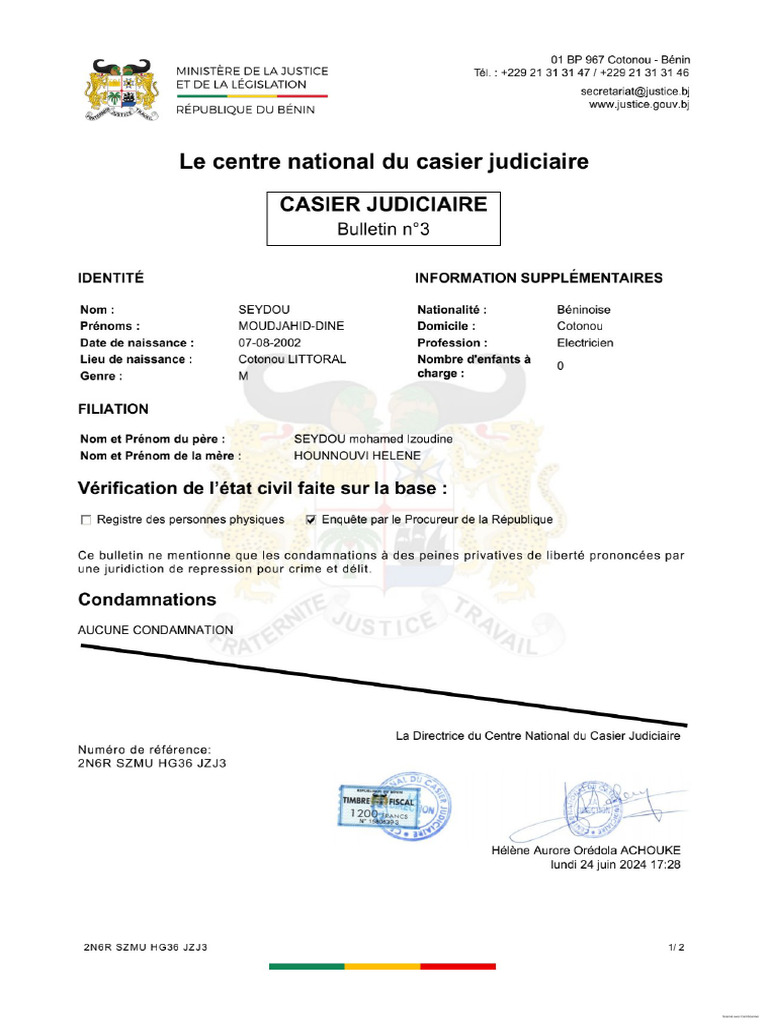 Casier Judiciaire | PDF