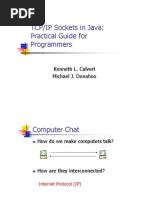 An Example Script To Connect To Google Using Socket | PDF | Port ...