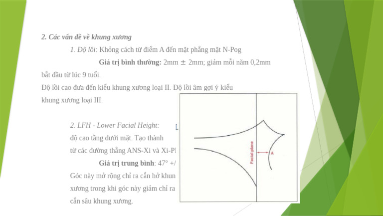 MK 2 | PDF