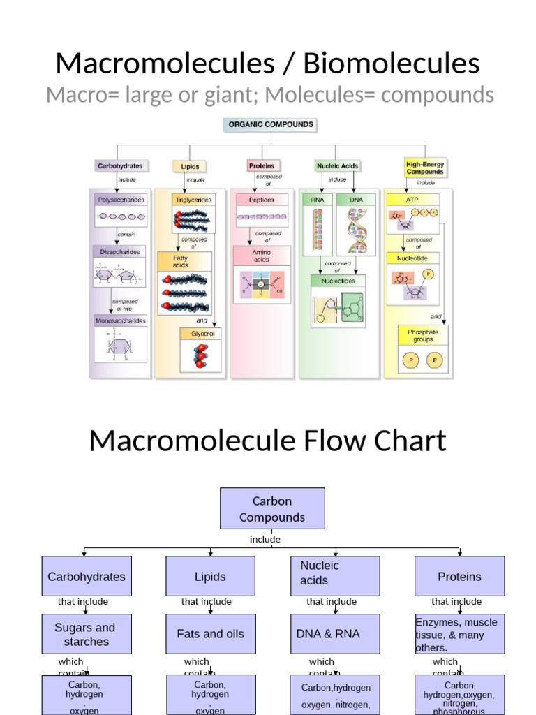 Inbound 7487087271579370048 | PDF | Carbohydrates | Macromolecules