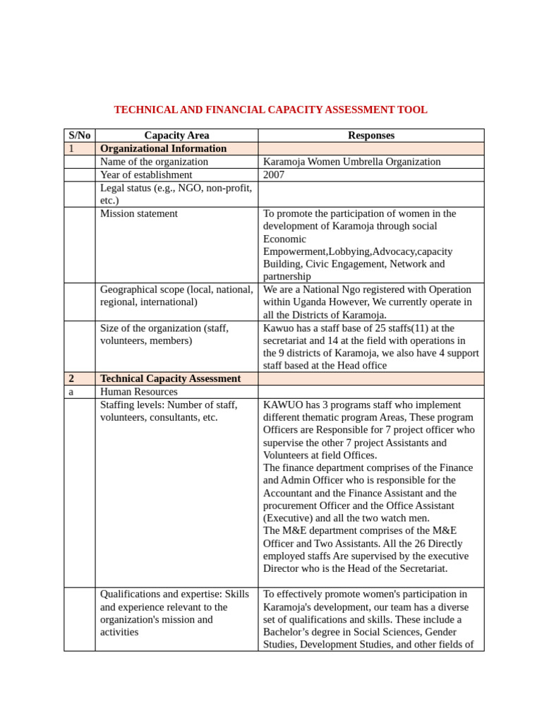 Financial Capacity Assessment Example