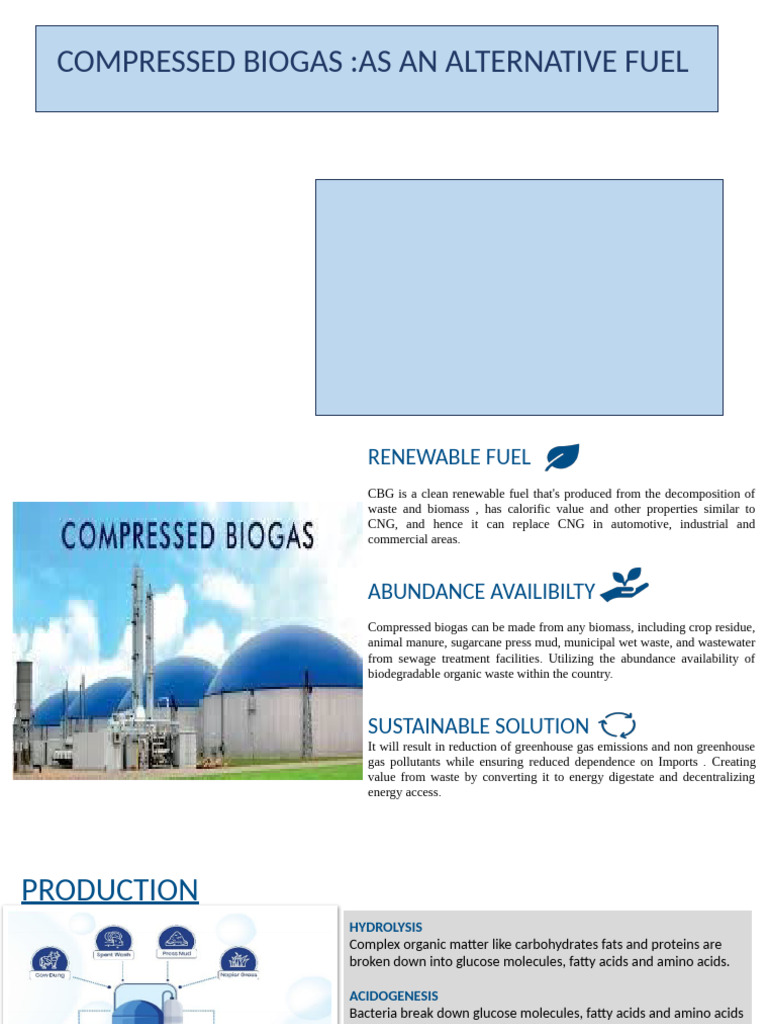 Compressed Biogas: A Renewable Fuel Solution | PDF | Biogas ...
