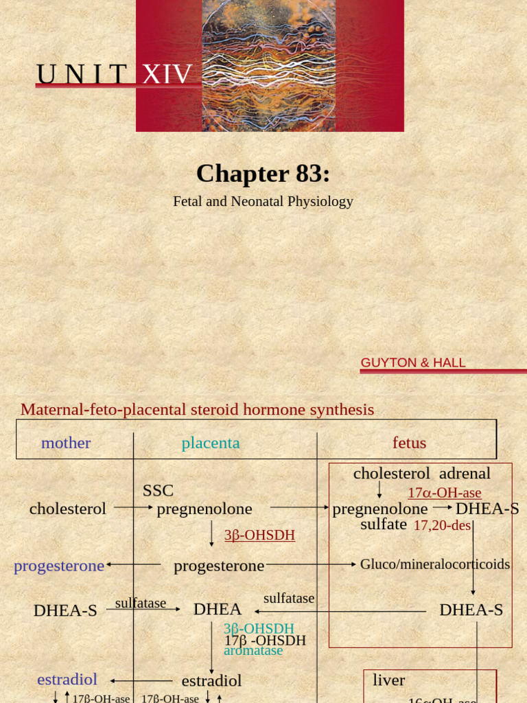 CH 83 | PDF | Fetus | Diabetes