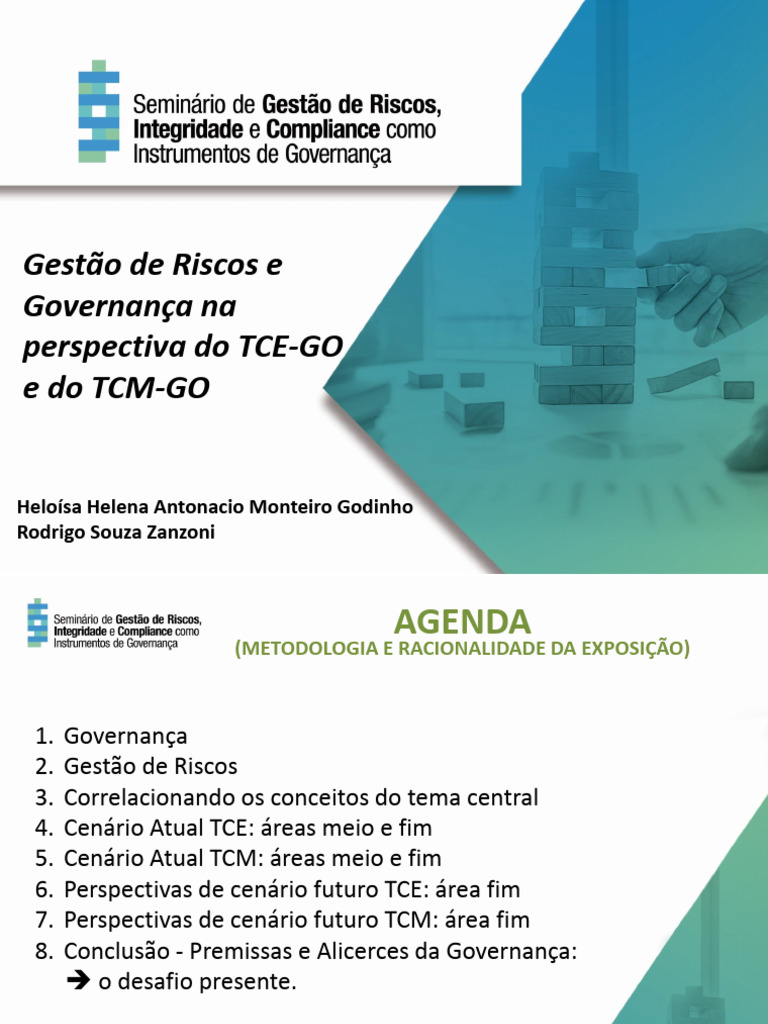Governança e Gestão de Riscos no TCE-GO | PDF | Governança | Gestão de ...