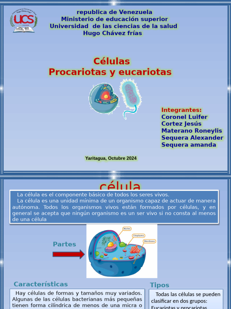 Tipos y funciones de células eucariotas y procariotas | PDF | Biología ...