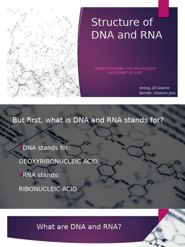 DNA and RNA Structure Explained | PDF | Rna | Nucleic Acids