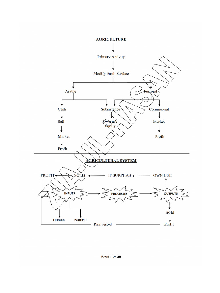 Jps Live Stock Notes Final | PDF