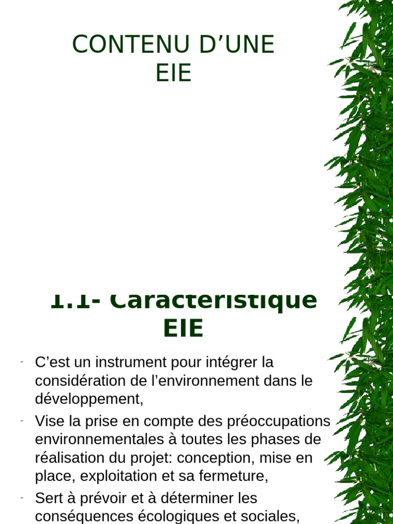 Guide Complet sur l'Étude d'Impact Environnemental | PDF | Gestion des ...