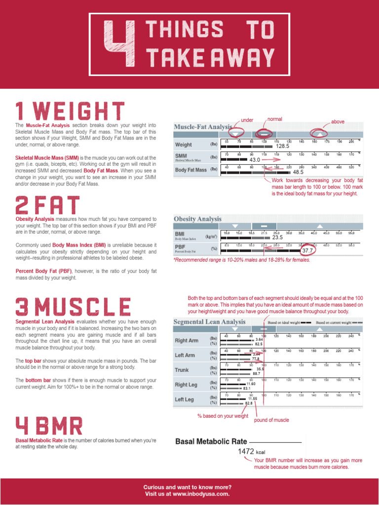 InBody Muscle and Fat Analysis Guide | PDF | Body Mass Index | Obesity