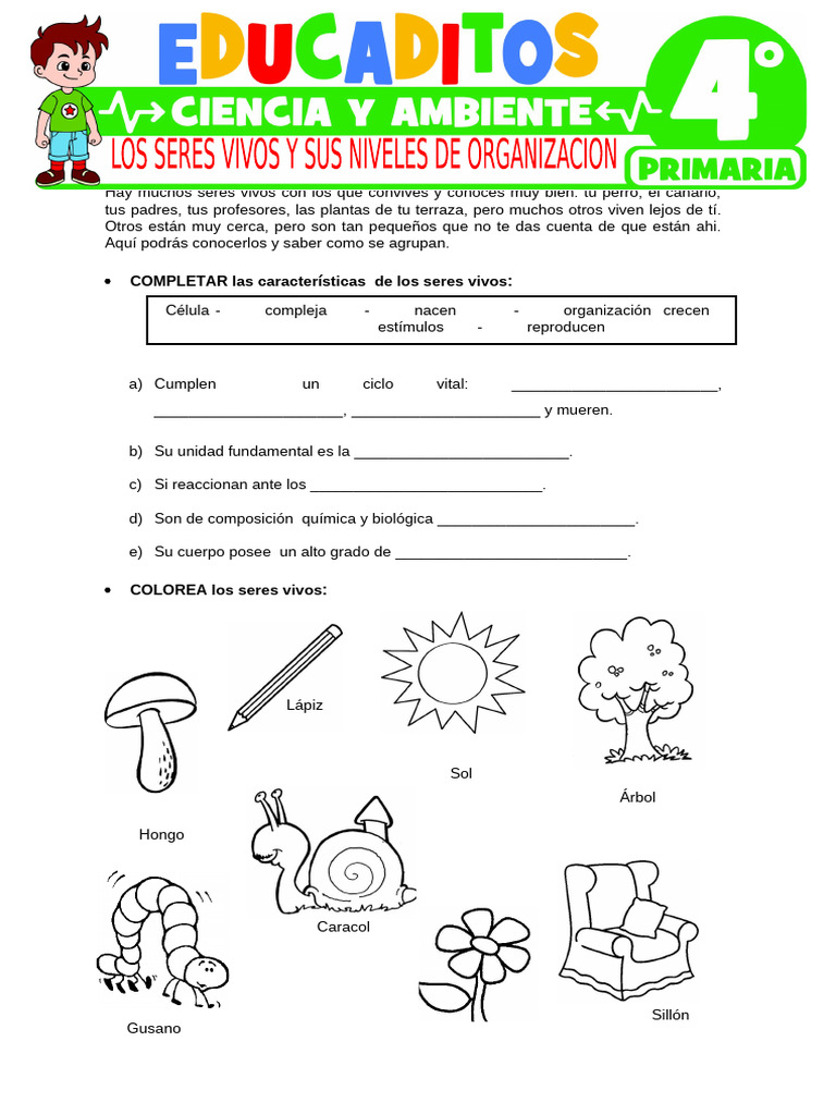 Características de los seres vivos | PDF