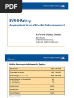 BVRII Rating Netz.