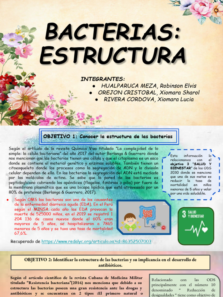 Estructura y Salud de las Bacterias | PDF | Las bacterias | Biología ...