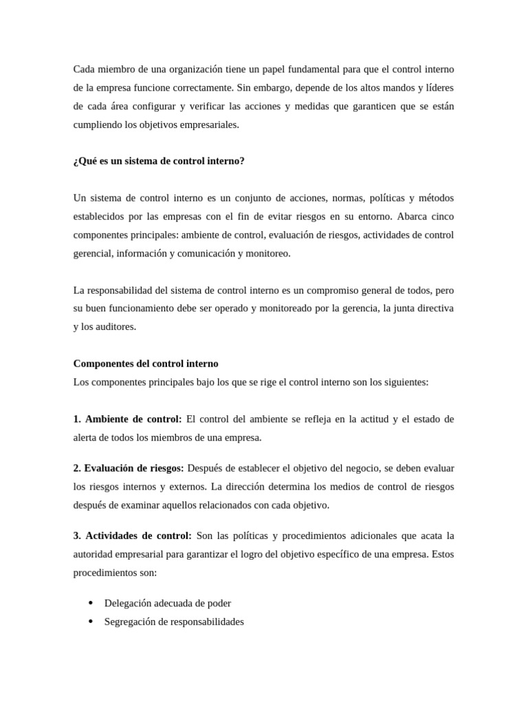 Sistema de Control Interno: Guía Esencial | PDF | Planificación | Business