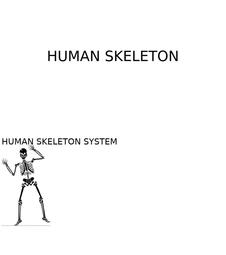 Human Skeleton Pdf