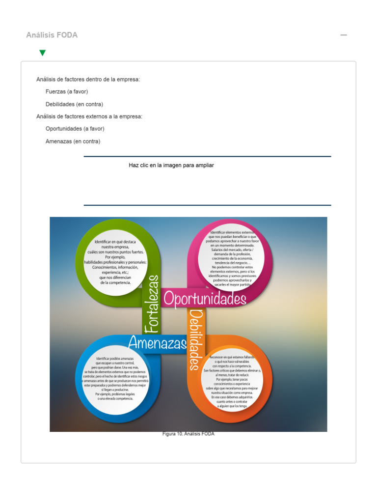 Análisis FODA de la Empresa | PDF