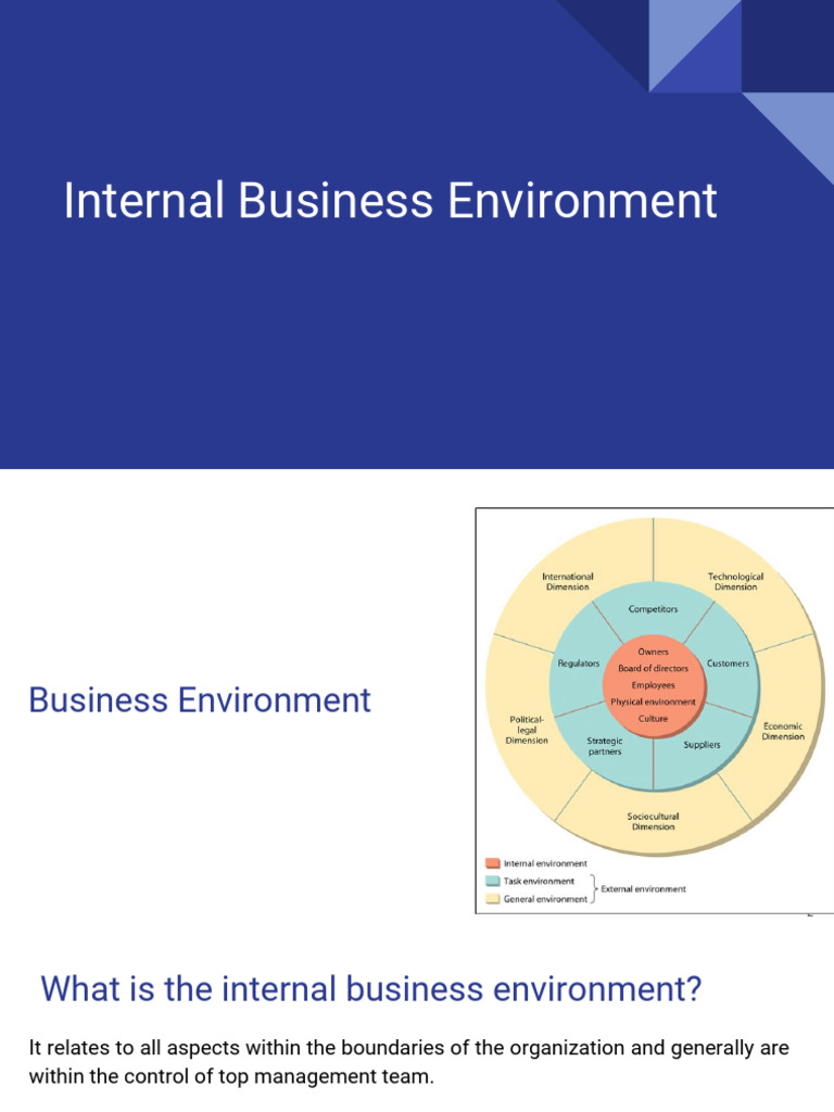 Internal Environment Analysis Overview | PDF | Swot Analysis | Business