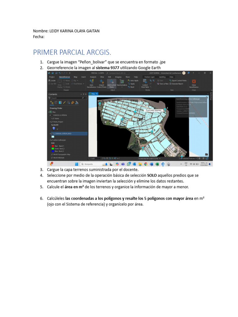 Primer Parcial Arcgis 401 | PDF