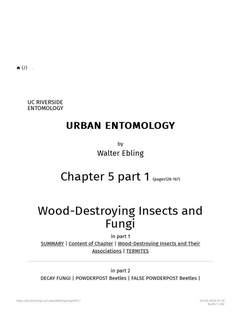 Chapter 5 Part 1 - Wood-Destroying Insects and Fungi - Department of ...