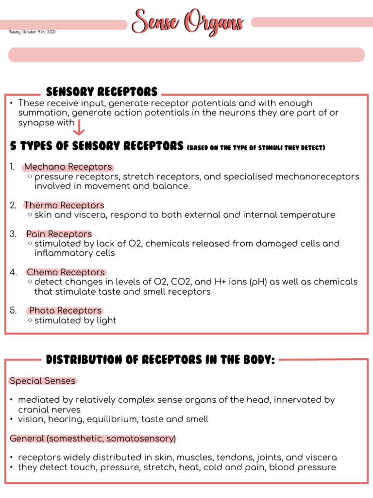 Types and Functions of Sensory Receptors | PDF | Eye | Senses