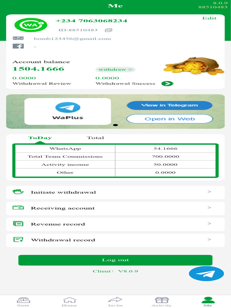 Account Balance: Today | PDF