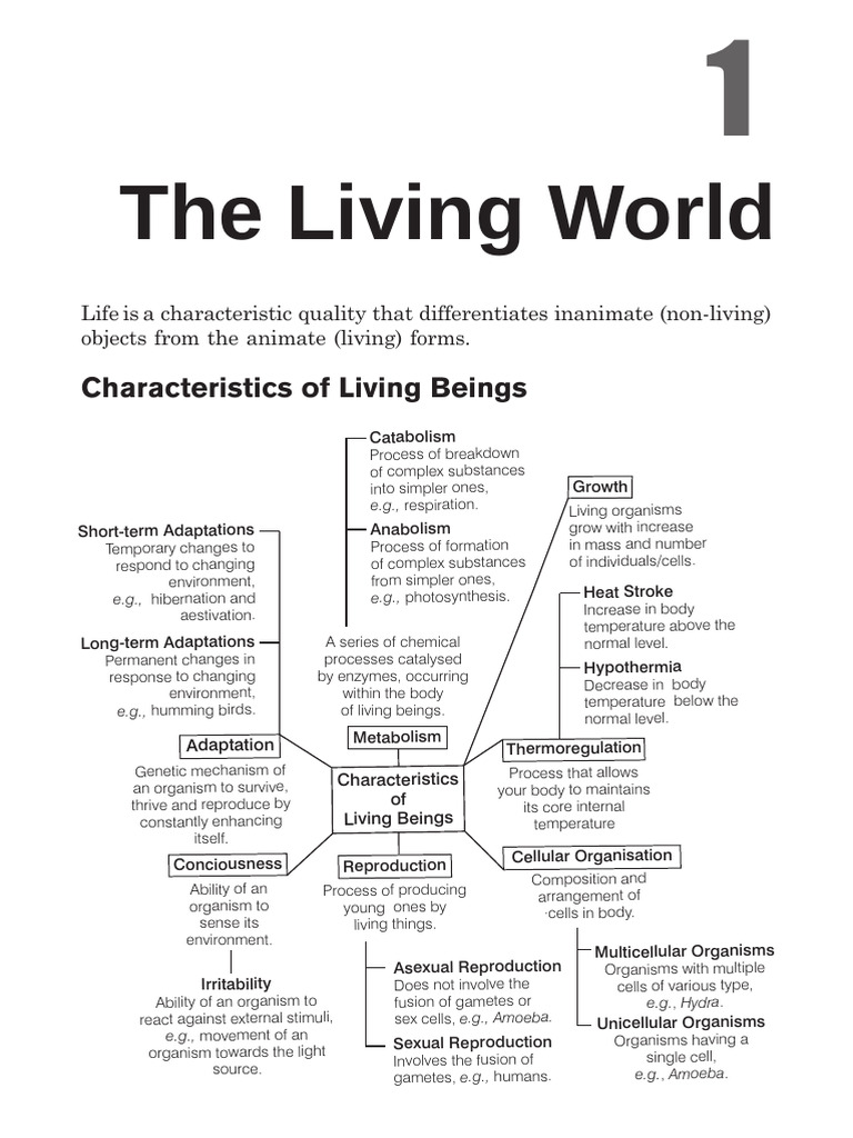 Characteristics of Living Beings Explained | PDF | Taxonomy (Biology ...