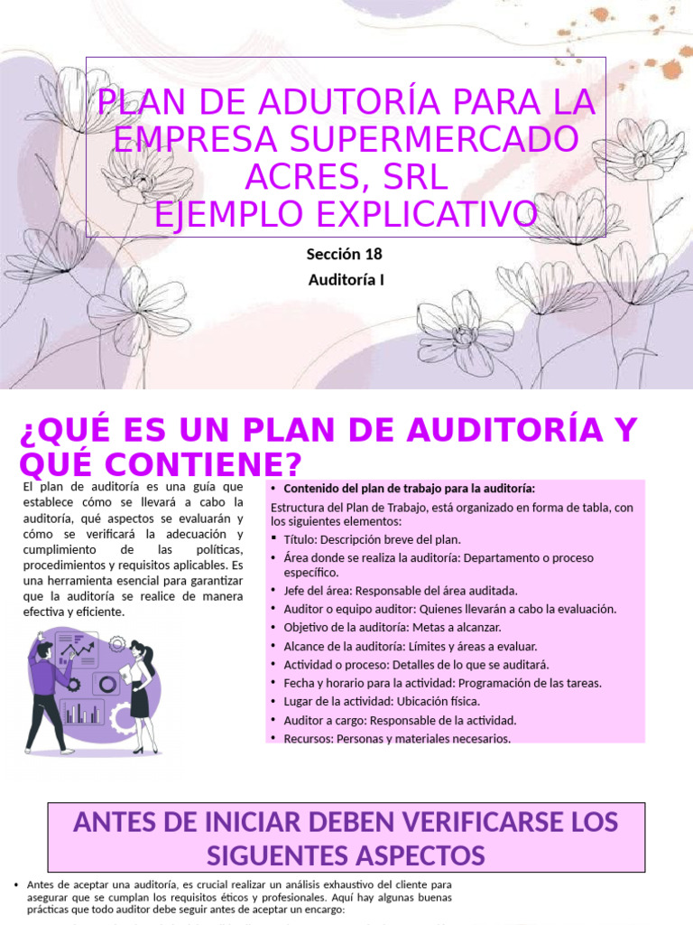 Plan de Auditoría para Supermercado Acres | PDF | Auditoría | Contralor