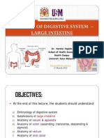 Anatomy of Digestive Sys Large Intestine
