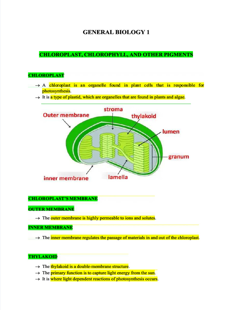 PDF General Biology 1 Chloroplast Chlorophyll and Pigment - Compress ...